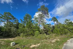 43 Matricaria Ct, Homosassa, FL 34446 - Photo 49