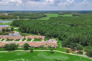 1015 Flora Vista St, Trinity, FL 34655 - Photo 21