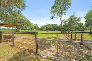 19509 Paso Fino Way, Dade City, FL 33523 - Photo 21