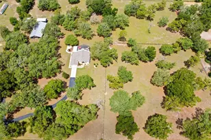 19509 Paso Fino Way, Dade City, FL 33523 - Photo 11