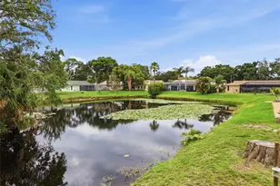 3341 Player Dr, New Port Richey, FL 34655 - Photo 33