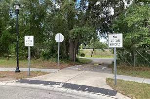 15848 Leatherleaf Ln, Land O Lakes, FL 34638 - Photo 33