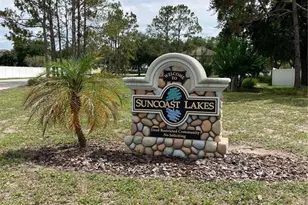 15848 Leatherleaf Ln, Land O Lakes, FL 34638 - Photo 37