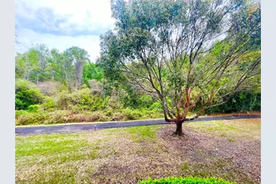 1182 Pine Ridge Circle W #C-2, Tarpon Springs, FL 34688 - Photo 17