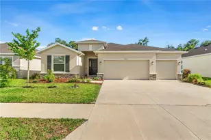 3763 Autumn Amber Dr, Spring Hill, FL 34609 - Photo 1