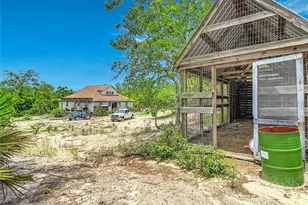 12126 Skimmer Ave, Weeki Wachee, FL 34614 - Photo 49