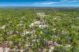 12126 Skimmer Ave, Weeki Wachee, FL 34614 - Photo 67
