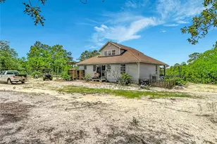 12126 Skimmer Ave, Weeki Wachee, FL 34614 - Photo 45