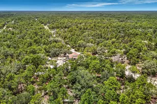 12126 Skimmer Ave, Weeki Wachee, FL 34614 - Photo 59