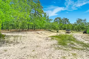 12126 Skimmer Ave, Weeki Wachee, FL 34614 - Photo 51