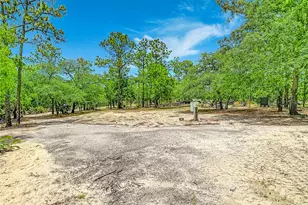 12126 Skimmer Ave, Weeki Wachee, FL 34614 - Photo 53