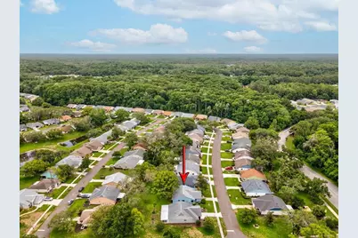 11614 Rose Tree Drive, New Port Richey, FL 34654 - Photo 35