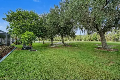 1331 Trimaran Place, Trinity, FL 34655 - Photo 29