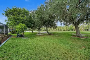 1331 Trimaran Pl, Trinity, FL 34655 - Photo 29