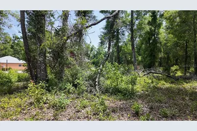 Katherine Way, Fanning Springs, FL 32693 - Photo 7