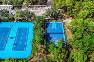 13733 Covey Run Pl, Spring Hill, FL 34609 - Photo 67