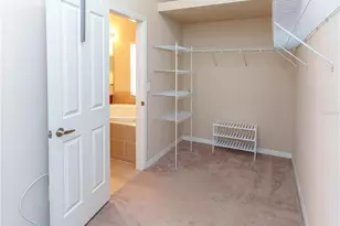 13733 Covey Run Pl, Spring Hill, FL 34609 - Photo 15