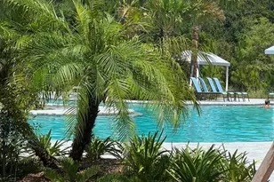 11040 Banyan Breeze Blvd, Land O Lakes, FL 34638 - Photo 51