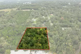 515 Stafford Ave, Brooksville, FL 34601 - Photo 25