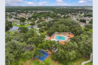 3423 Santa Rita Lane, Land O Lakes, FL 34639 - Photo 47