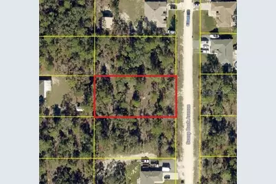 0 Scaup Duck Avenue, Weeki Wachee, FL 34614 - Photo 5