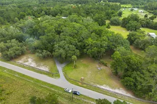 7663 Cr 247, Lake Panasoffkee, FL 33538 - Photo 33