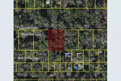 9346 E Sleepy Oak Court, Inverness, FL 34453 - Photo 1