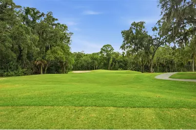 9215 Green Pines Terrace, New Port Richey, FL 34655 - Photo 53
