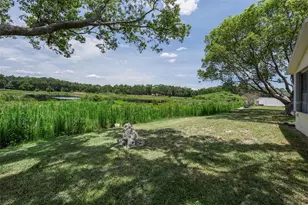 12603 Pecan Tree Dr, Hudson, FL 34669 - Photo 9