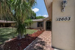 12603 Pecan Tree Dr, Hudson, FL 34669 - Photo 17
