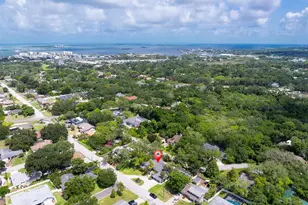 1350 Fairway Dr, Dunedin, FL 34698 - Photo 59
