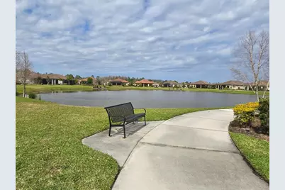 3270 Francoa Drive, Odessa, FL 33556 - Photo 51
