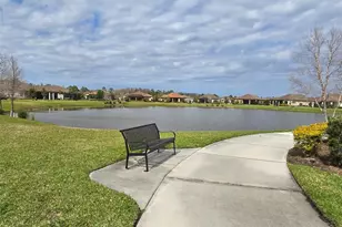 3270 Francoa Dr, Odessa, FL 33556 - Photo 51