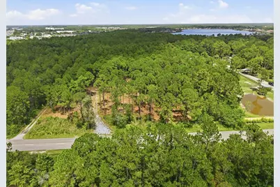 0 Altamont Lane, Odessa, FL 33556 - Photo 5