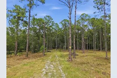 0 Altamont Lane, Odessa, FL 33556 - Photo 7