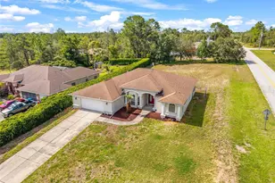 10400 Golden Ave, Weeki Wachee, FL 34613 - Photo 3
