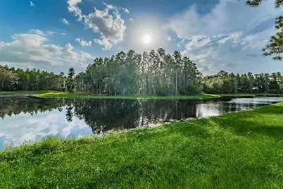 1345 Halapa Way, Trinity, FL 34655 - Photo 93
