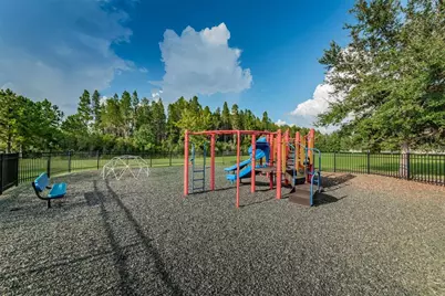 1345 Halapa Way, Trinity, FL 34655 - Photo 89