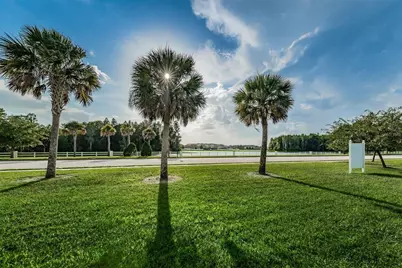1345 Halapa Way, Trinity, FL 34655 - Photo 91