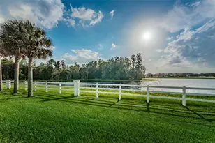 1345 Halapa Way, Trinity, FL 34655 - Photo 85