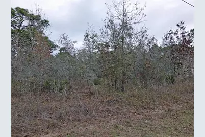 0 Seattle Wren Avenue, Brooksville, FL 34614 - Photo 19