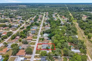 1372 Haulover Ave, Spring Hill, FL 34608 - Photo 41