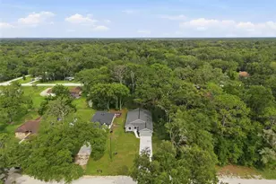 352 Garfield Ave, Masaryktown, FL 34604 - Photo 59
