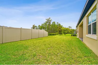4215 Tatum Loop, Odessa, FL 33556 - Photo 47