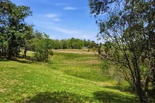 9011 Foxdale Ln, Spring Hill, FL 34608 - Photo 85