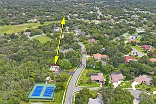 18915 Bascomb Ln, Hudson, FL 34667 - Photo 69