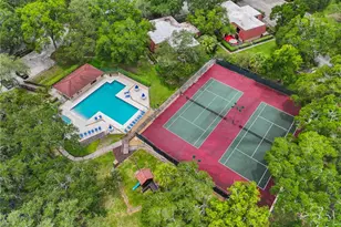 2763 5th Ct, Palm Harbor, FL 34684 - Photo 29