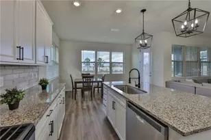 3323 Monroe Mdws Dr, Odessa, FL 33556 - Photo 9
