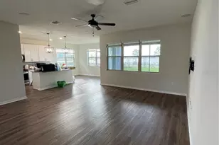 3323 Monroe Mdws Dr, Odessa, FL 33556 - Photo 11