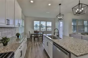 3323 Monroe Mdws Dr, Odessa, FL 33556 - Photo 9